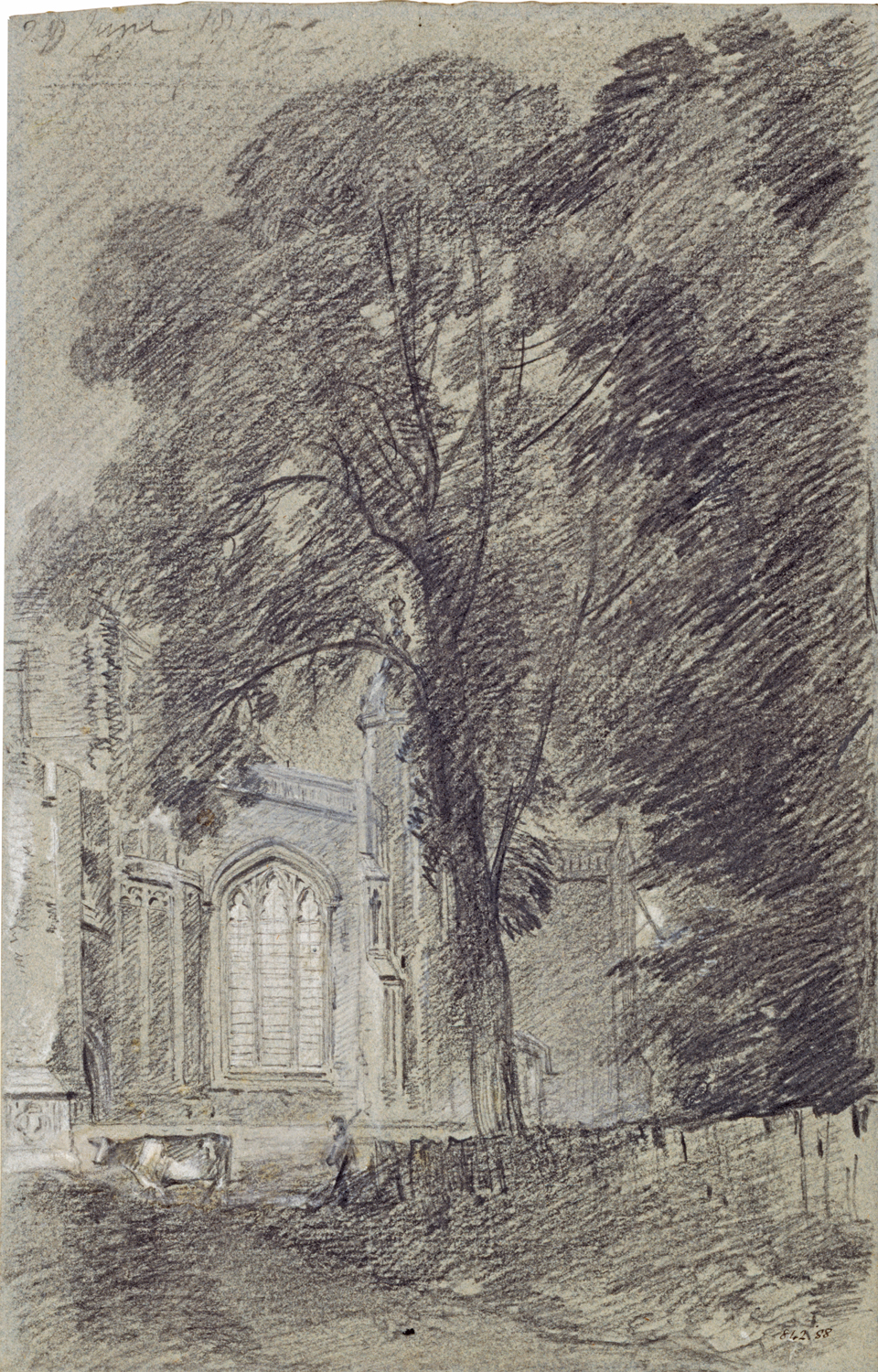 John Constable, East Bergholt Church: part of the west end seen beyond a group of elms, Suffolk, 1812, Black and white chalk on grey paper, Museum no. 842-1888