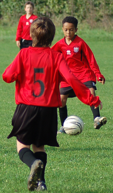 DSC_0173.jpg