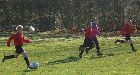 DSC_0114.jpg