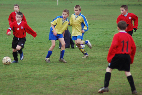 DSC_0242a.jpg