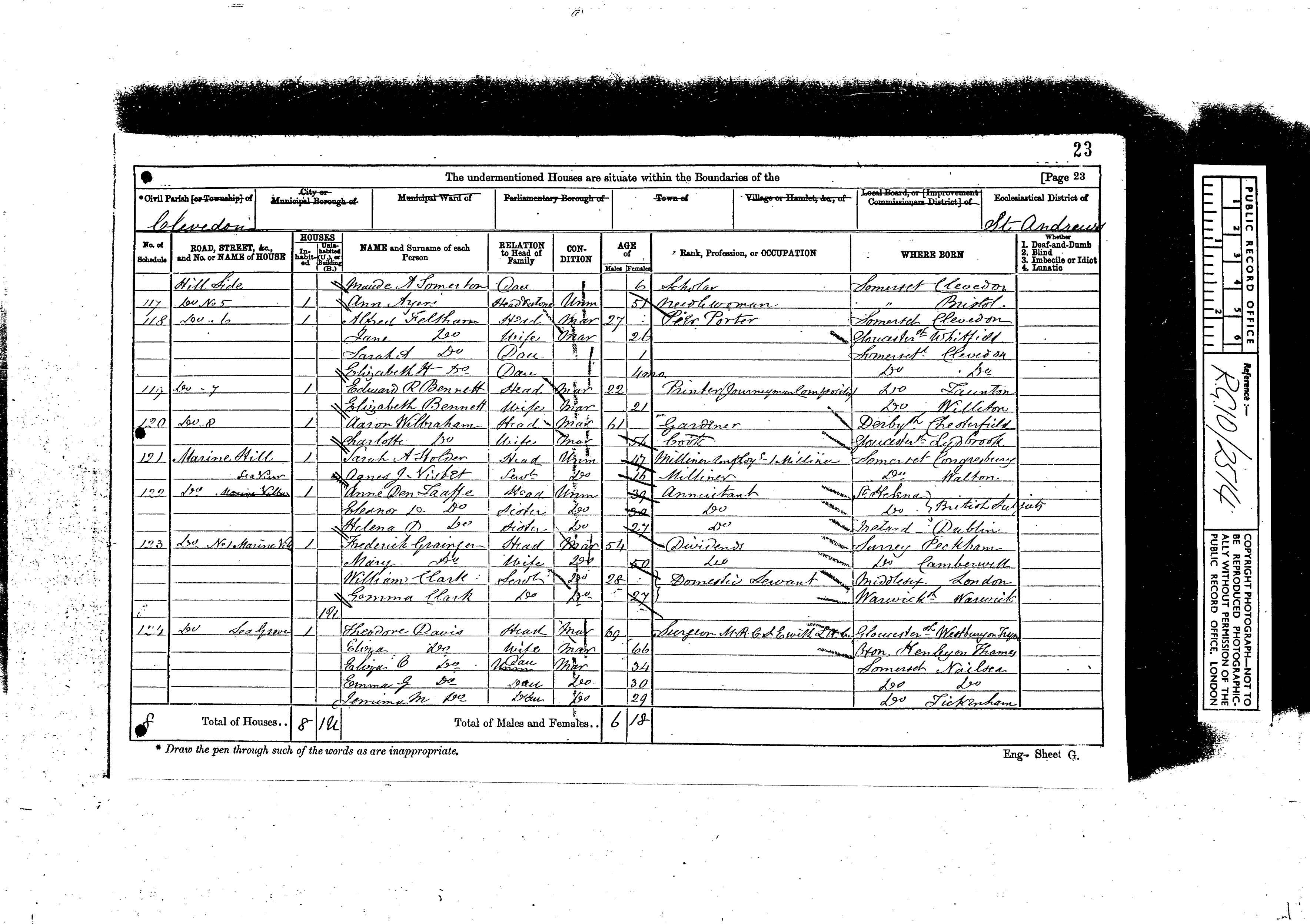 1871: Marine Hill Lea Grove, Clevedon, Somersetshire