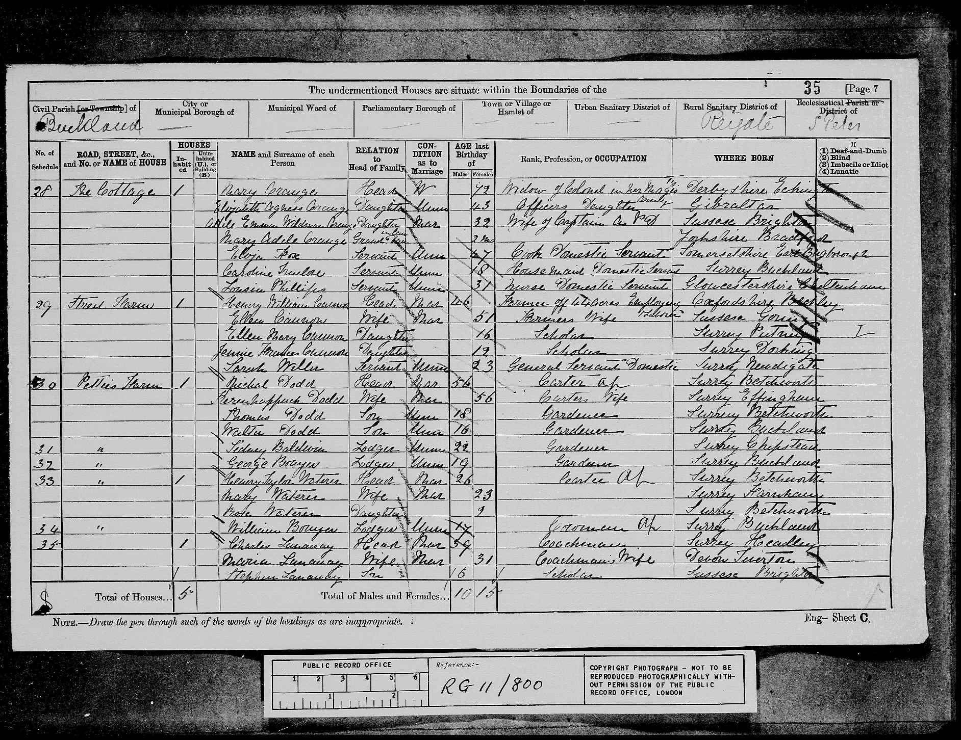 1881: Petties Farm, Buckland, Reigate, Surrey