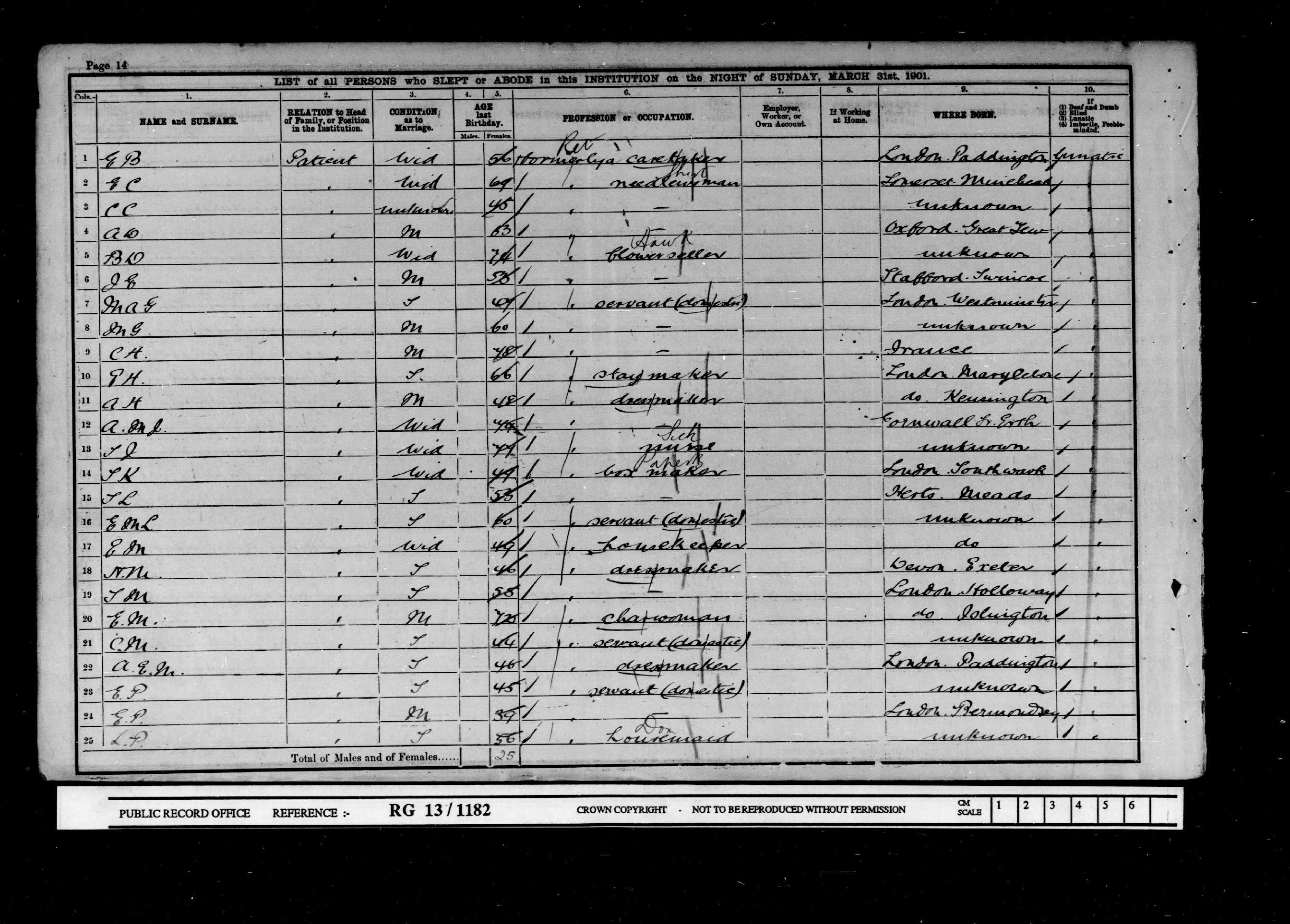 1901: Hanwell Lunatic Asylum, Norwood, London