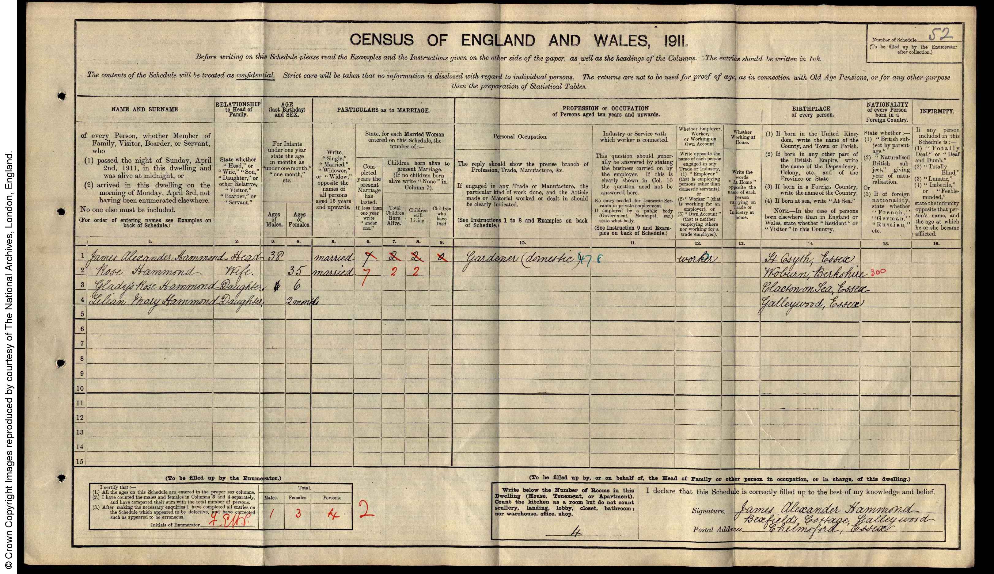 1911: Boxfield Cottage, Galleywood, Chelmsford, Essex