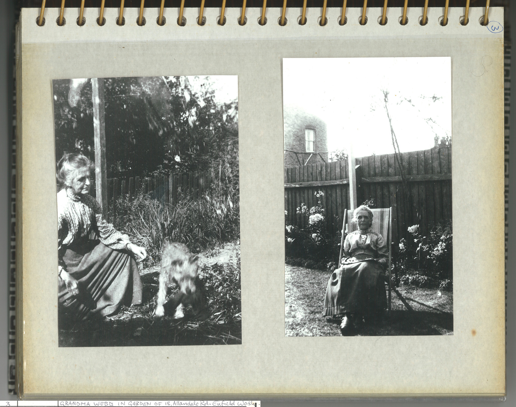 P3: Sarah (Fidler) Webb in garden at 18 Allendale Road, Enfield